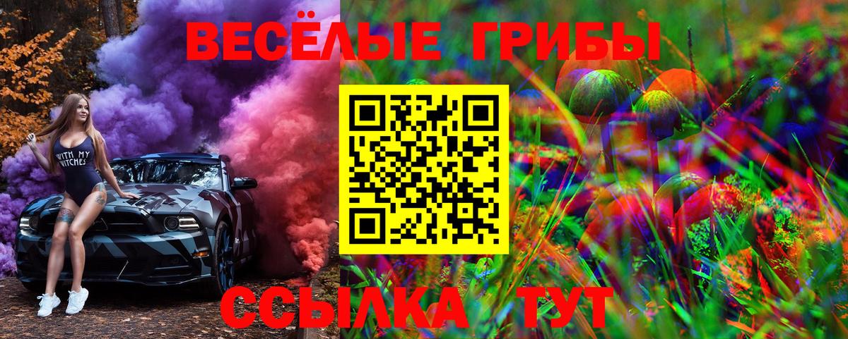 Галлюциногенные грибы Magic Shrooms  Вход с VPN  Балашов 