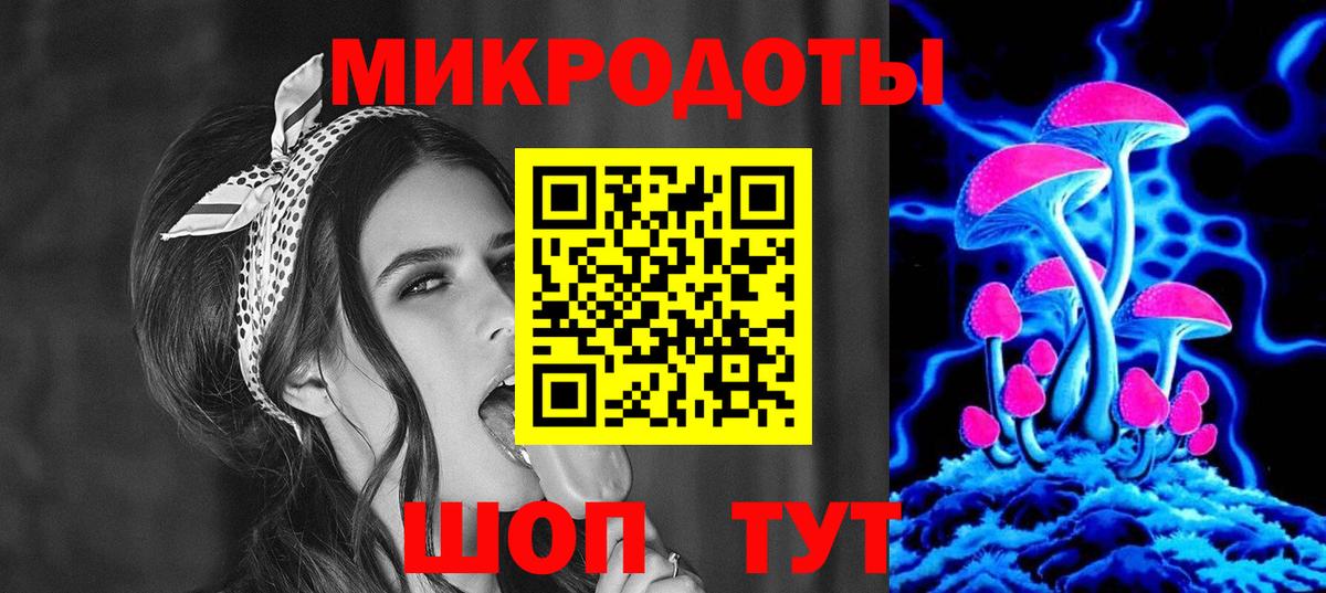Псилоцибиновые грибы Psilocybine cubensis Балашов